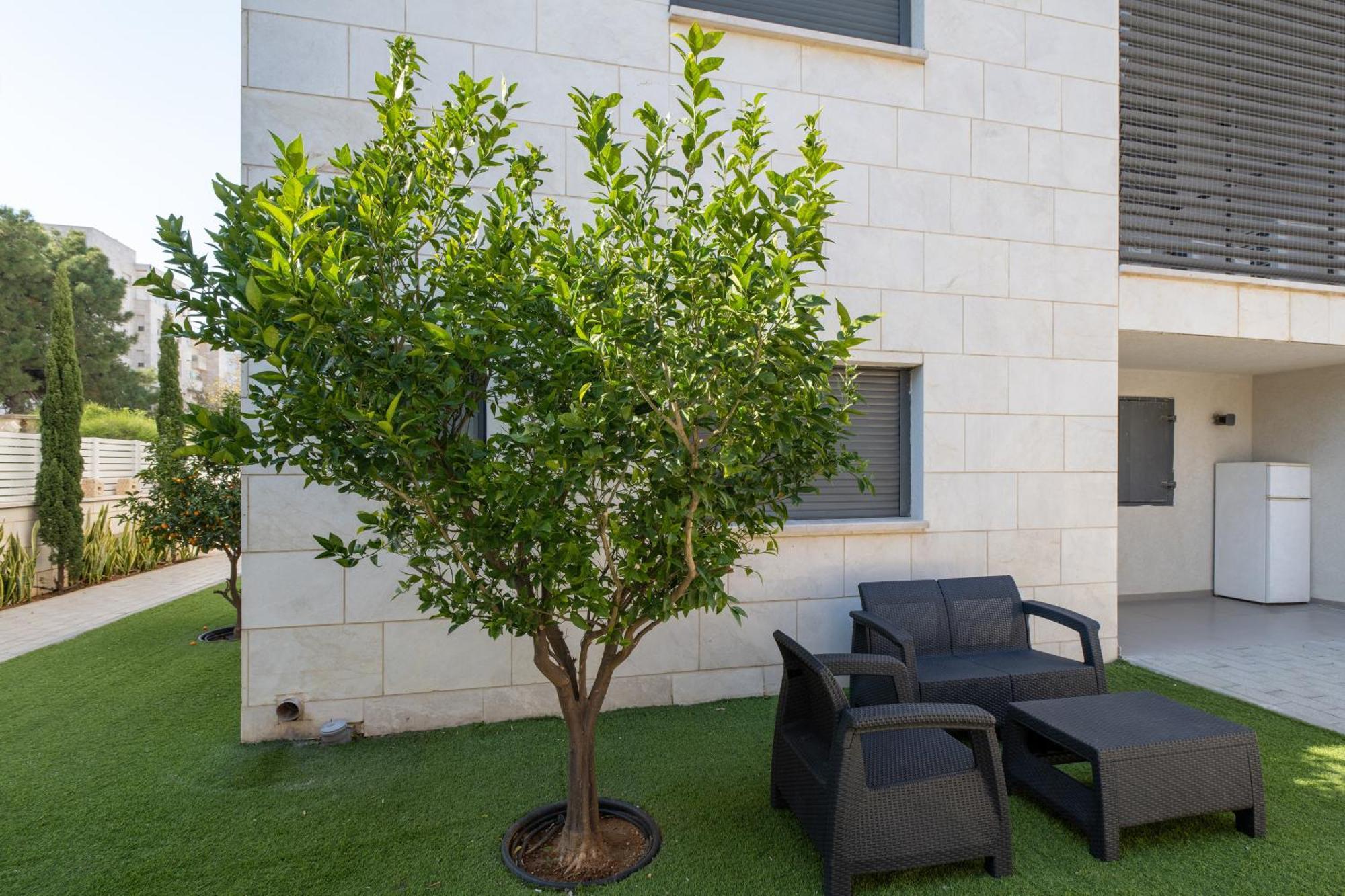 Balfour Sea View City Center Naharia Buitenkant foto